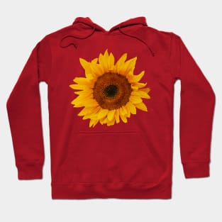 A flower with the Sun on its face Hoodie